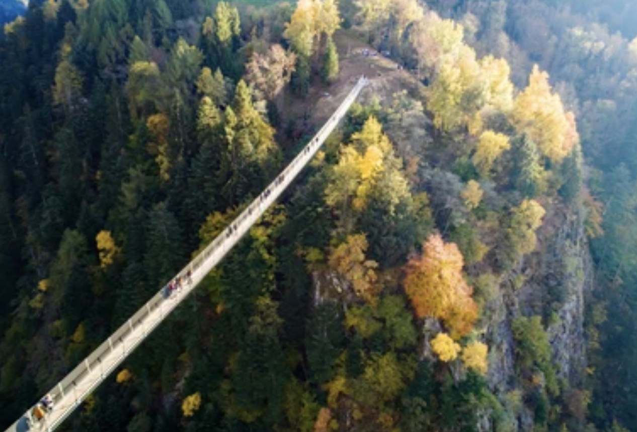 Ponte nel Cielo hangbrug luchtfoto boven herfstbos in de Italiaanse Alpen